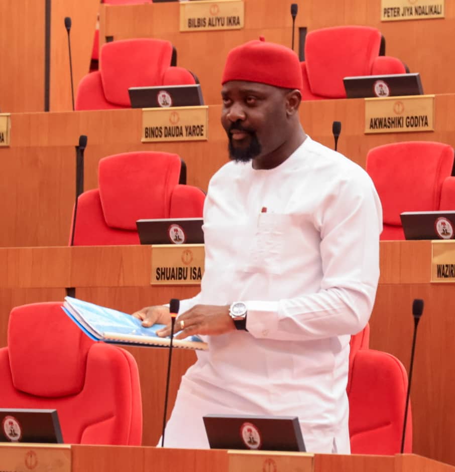 PERFORMANCE BEYOND EXPECTATIONS: THE PREPAREDNESS AND PROGRESS of SENATOR OSITA NGWU.