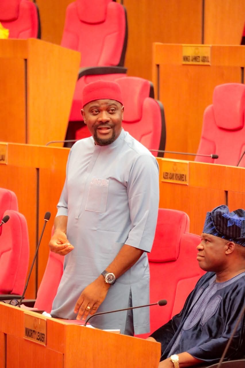 A PROVEN MANDATE: JUSTIFYING THE CONTINUITY OF SENATOR OSITA NGWU BEYOND 2027.