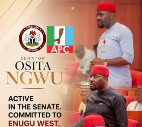 CONTINUITY WITH PURPOSE FOR ENUGU WEST: DISTINGUISHED SENATOR DR. OSITA NGWU (RG) AND THE ROAD AHEAD.